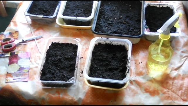 Как сажать семена цветов! смотреть онлайн