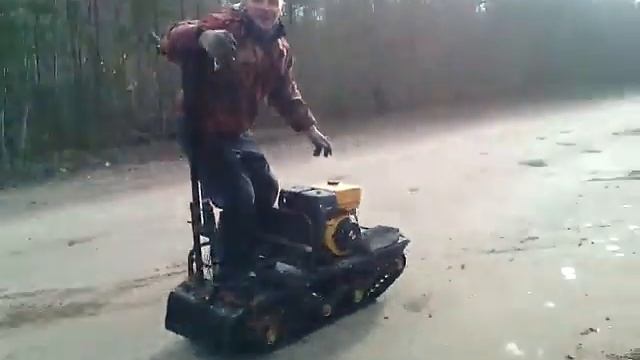 темыч на собаке(летом по асфальту)