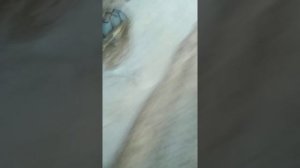 Полный привод на китайском минитракторе