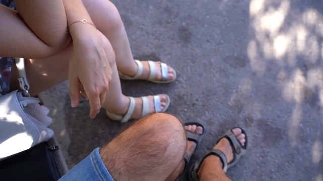 Пересаживаем Замиокулькас / Долларовое дерево ;) Уход и пересадка дерева в домашних условиях! смотреть онлайн