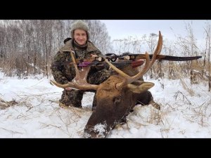 Охота на лося с луком