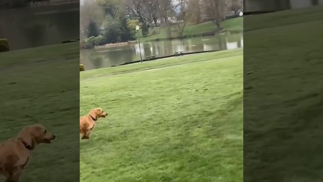 Бросай уже... смотреть онлайн