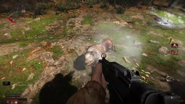 Первая вылазка с новичками. Прохождение Stalker Anomaly 1.5.2 на самом сложном смотреть онлайн