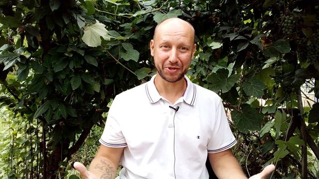 Осознай это прямо сейчас | Остановка поиска | 2 ключа осознания смотреть онлайн