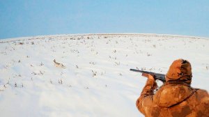 ОХОТА НА ЗАЙЦА В КАМЫШАХ, ДОБЫЛИ ОГРОМНОГО РУСАКА. Охота на зайца 2024