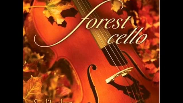 Dan Gibson - Solitudes - Forest Cello - 09 Majesty Of The Lake смотреть онлайн