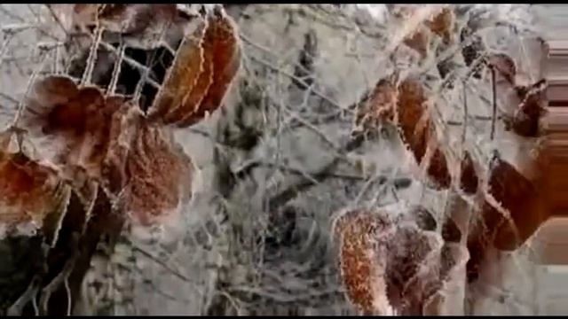 "Забытый вальс" (Е.Филиппов - И.Резник) смотреть онлайн