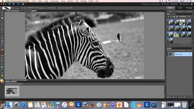 Introduction à Adobe Photoshop Elements 10 смотреть онлайн