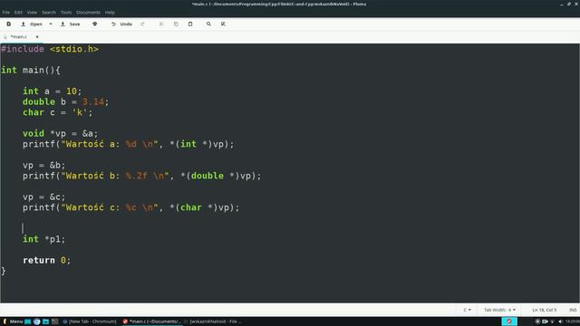 Wskaźnik na void C i C++ смотреть онлайн