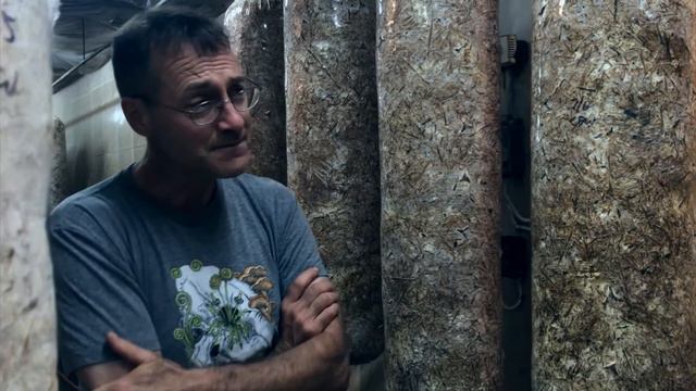 WOW! Mushroom Farm Tour + HOW TO Grow Organic Lion's Mane, Oyster, Shiitake Mushrooms [FULL LENGTH] смотреть онлайн