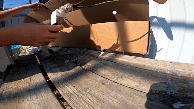 Распаковка посылки. Интернет магазин КлубСадПроф. смотреть онлайн