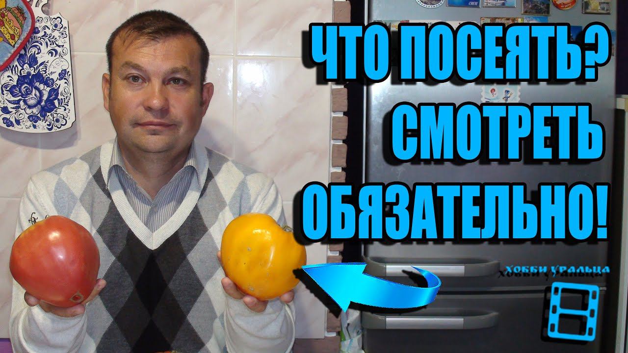 КАКИЕ СОРТА ПОМИДОРОВ ПОСАДИТЬ? ЛУЧШИЕ СОРТА ТОМАТОВ. САД (ОГОРОД) И ТЕПЛИЦА смотреть онлайн