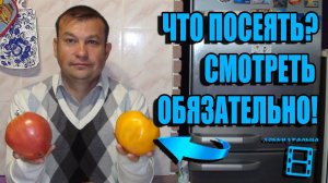 КАКИЕ СОРТА ПОМИДОРОВ ПОСАДИТЬ? ЛУЧШИЕ СОРТА ТОМАТОВ. САД (ОГОРОД) И ТЕПЛИЦА