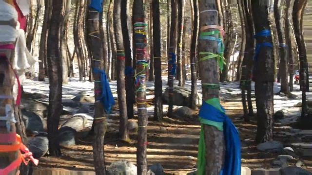 Аршан 2017 Бурятия Тункинская Долина смотреть онлайн