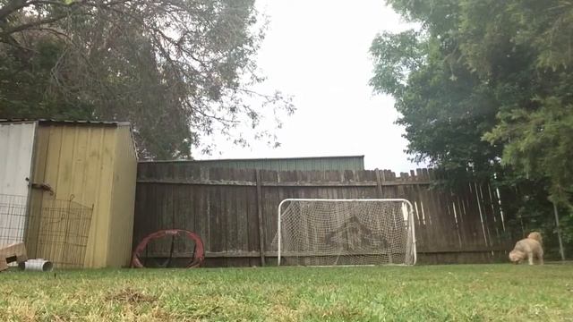 Insane small soccer ball смотреть онлайн