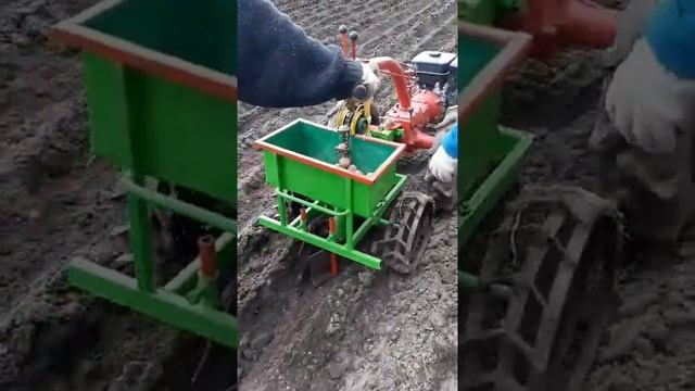 самодельная сажалка картофеля для мотоблока мтз. смотреть онлайн