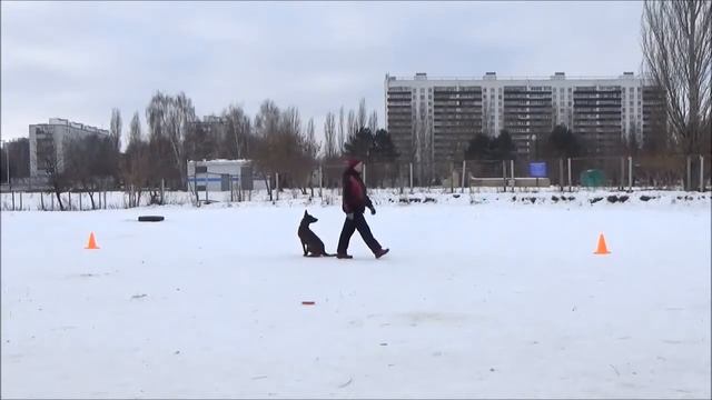 Джили. Элементы послушания 6 января 2018 года смотреть онлайн