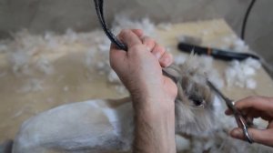 Стрижка кролика - как подстричь кролика в домашних условиях