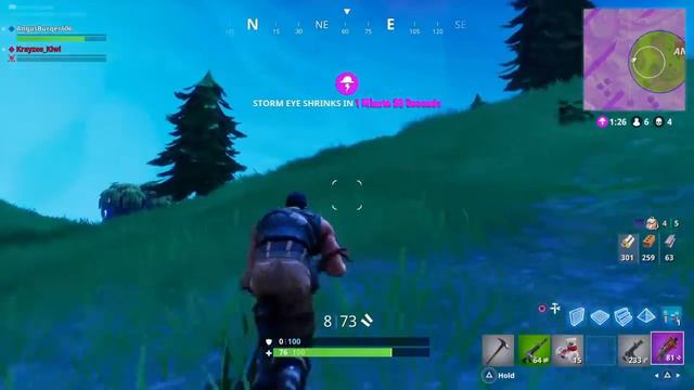 "EPIC DUMBFUCKERY" Fortnite Battle Royale Kiwi edition #5 смотреть онлайн