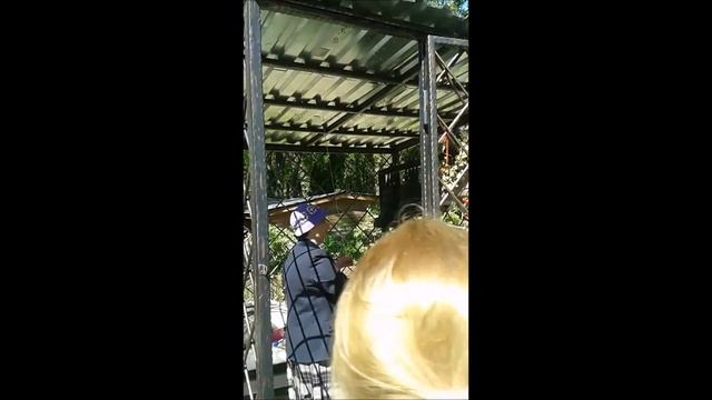 Osvjashenie zvonnnicy смотреть онлайн