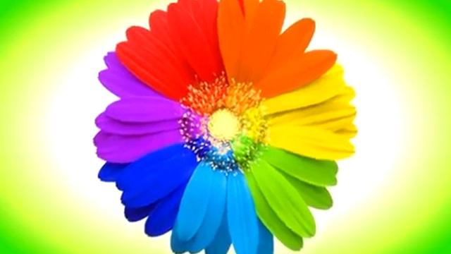ФУТАЖ Радужный цветок - Footage Rainbow flower смотреть онлайн