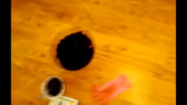 Комнатные розы, пересадка смотреть онлайн