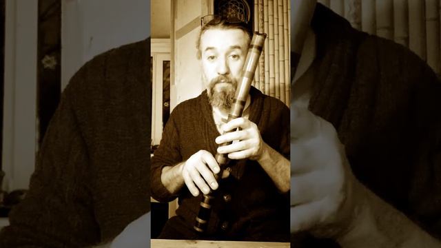 БАмбу Вэй о чудесности контакта с Сякухати смотреть онлайн