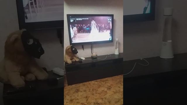 А ВЫ ЗНАЕТЕ ЗАЧЕМ СТРОЙНЫЕ МОДЕЛИ НУЖНЫ. смотреть онлайн