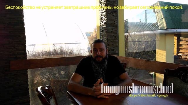 ВЕШЕНКА, что необходимо для хранения клеток ЧИСТОЙ культуры мицелия смотреть онлайн