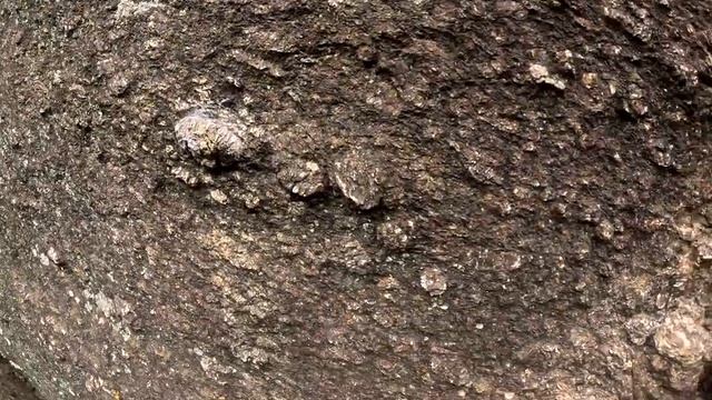 Platô da Lagoa via Cristal Canibal (5sup) - notReal_10055.mp4 смотреть онлайн