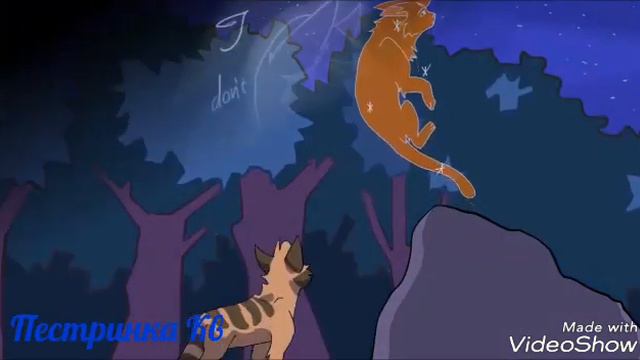 (Коты - Воители) клип ~ я хочу быть с ней~ (Warrior Cats) clip ~I want to be with her~ смотреть онлайн