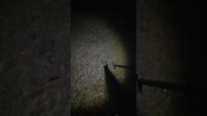 с острогой на ночную рыбалку