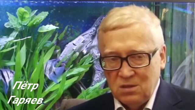 Пётр Гаряев. Полная регенерация зубов. смотреть онлайн