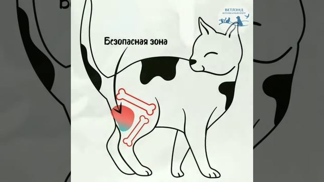 Как сделать внутримышечный укол смотреть онлайн