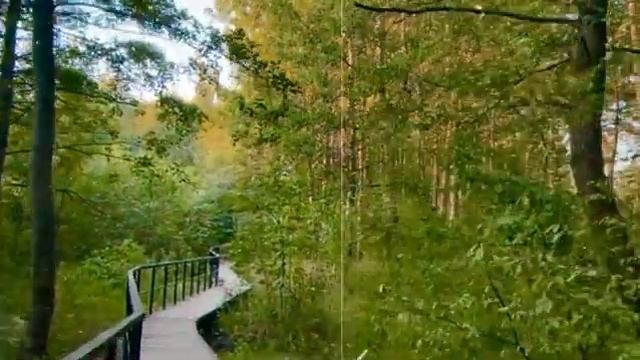 ЭКО-тропа на острове Западный Котлин смотреть онлайн