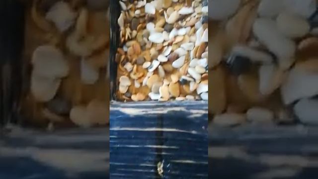 Шок! Внутренняя отделка натуральным камнем смотреть онлайн