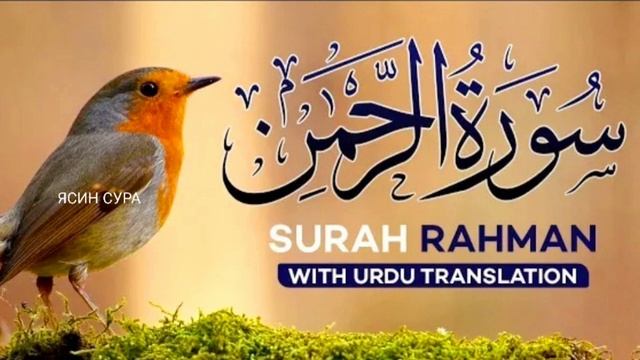 СУРА -РАХМАН ПЕРЕД СНОМ МИЛОСТЬ АЛЛАХА БУДЕТ окружать Вас ИН ШАА-АЛЛАХ смотреть онлайн