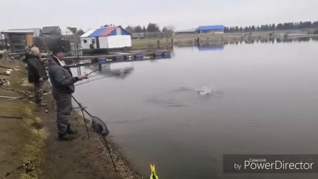 20 апреля 2019 г. смотреть онлайн