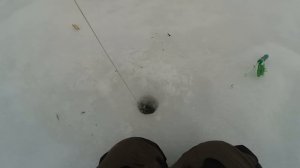 Как пользоваться отцепом на рыбалке?