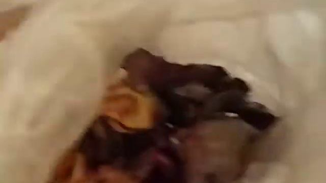 Компост из отходов дома смотреть онлайн