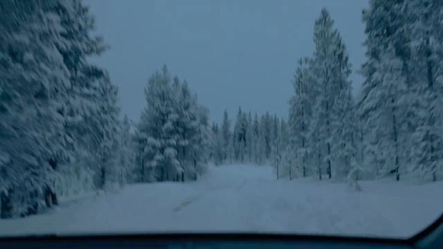 Валим по зимнему лесу на Toyota Hilux Arctic Trucks AT35