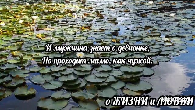 Полюбила девочка мужчину. Андрей Дементьев. смотреть онлайн