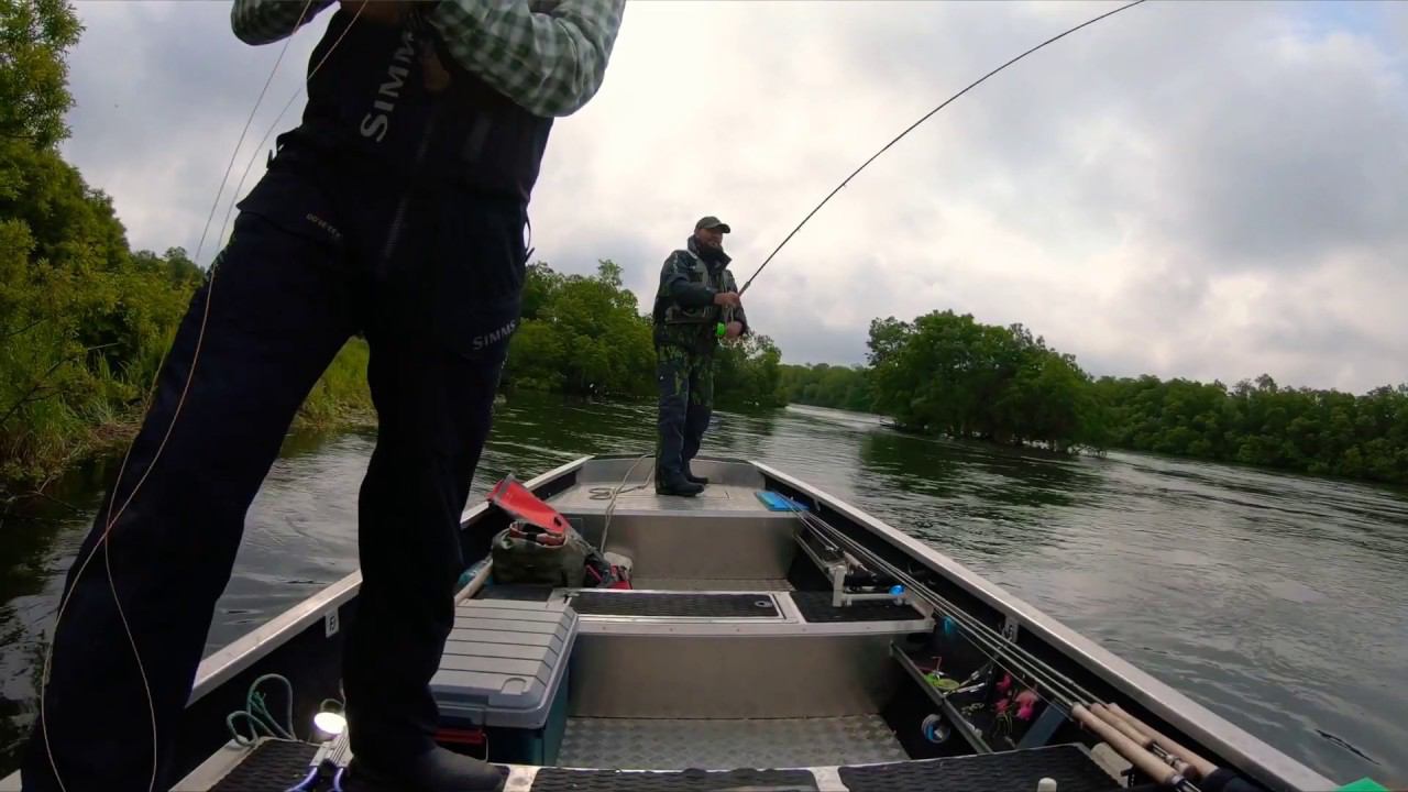 Камчатка, река Большая, Чавыча, нахлыст, 04.07.2020 год.