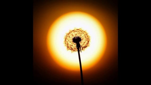 Сумиран - Медитация присутствия . смотреть онлайн