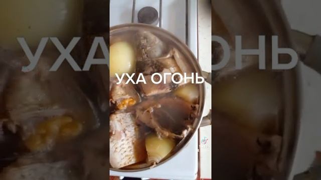 Вкусные рецепты