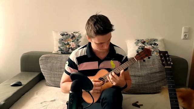 Last of Us на УКУЛЕЛЕ (ukulele) смотреть онлайн