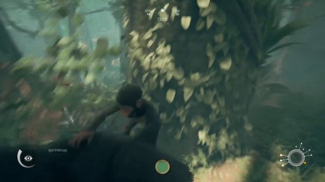 ANCESTORS: The Humankind Odyssey ● Прохождение #2 ● ПЛАНЕТА ОБЕЗЬЯН! ПРОДОЛЖАЕМ ЭВОЛЮЦИОНИРОВАТЬ! смотреть онлайн