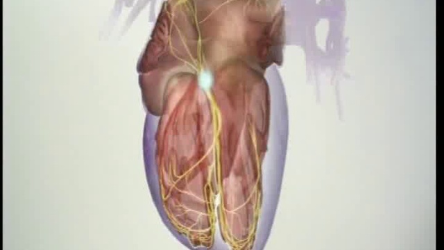 Пожилые родители. Что они скрывают? Обмороки смотреть онлайн