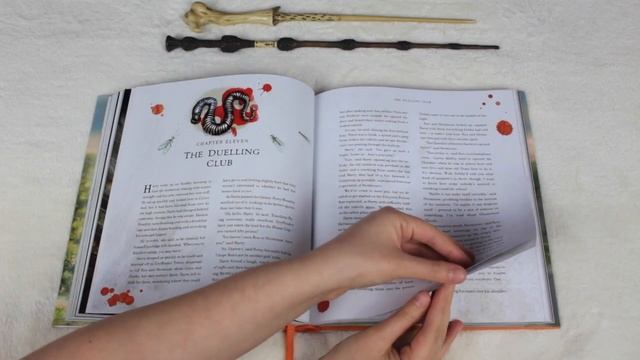Harry Potter and the Chamber of Secrets Illustrated Edition l Flip Through смотреть онлайн