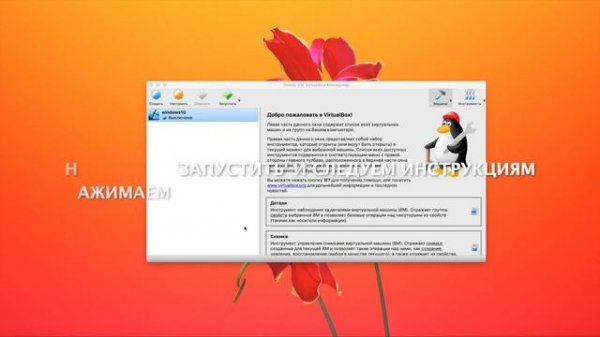 Как установить Windows на Mac OS. Виртуальная машина Virtualbox.